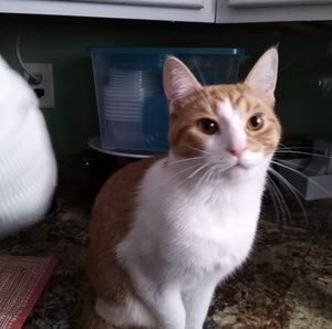 Meet your Posher, Mirranda